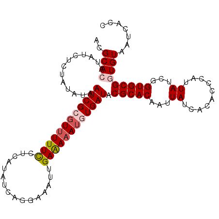secondary structure