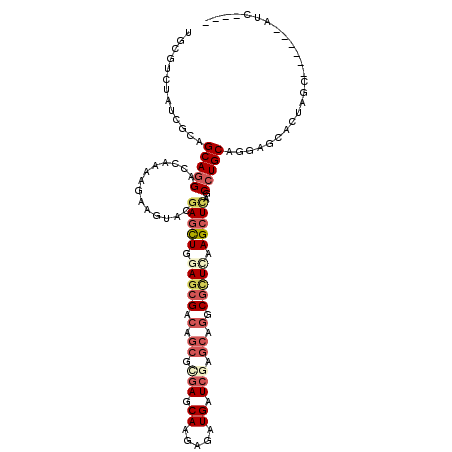 secondary structure