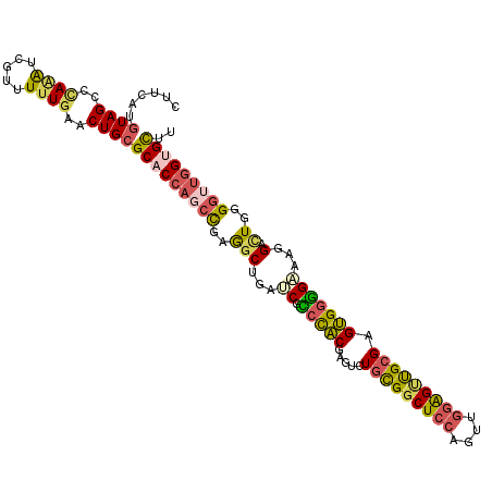 secondary structure
