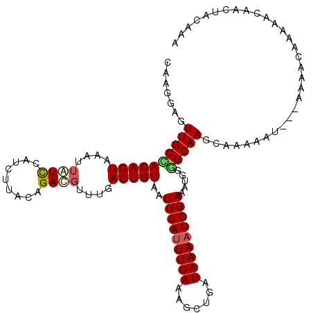 secondary structure