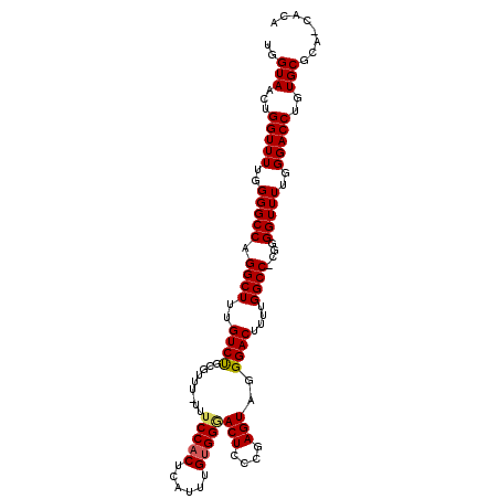 secondary structure