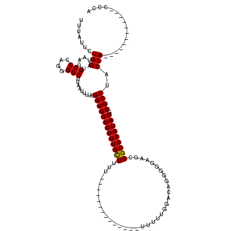 secondary structure