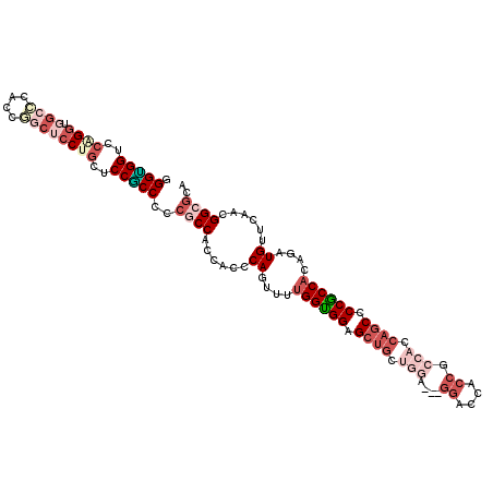 secondary structure
