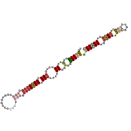 secondary structure