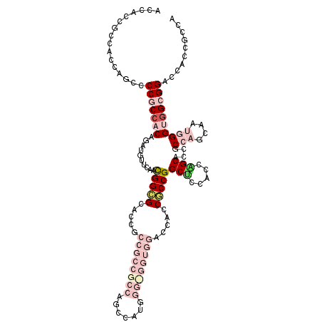 secondary structure
