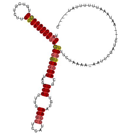 secondary structure
