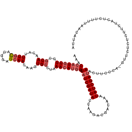 secondary structure
