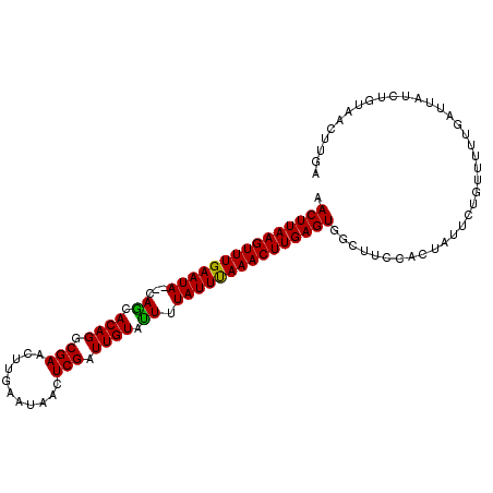 secondary structure