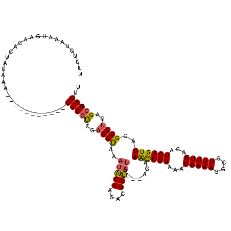 secondary structure