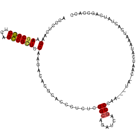 secondary structure