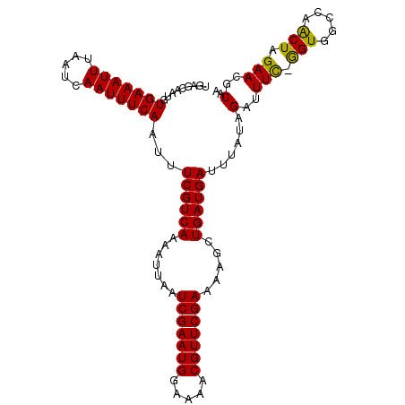 secondary structure