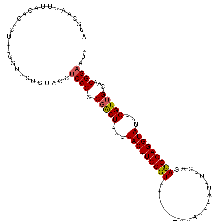 secondary structure