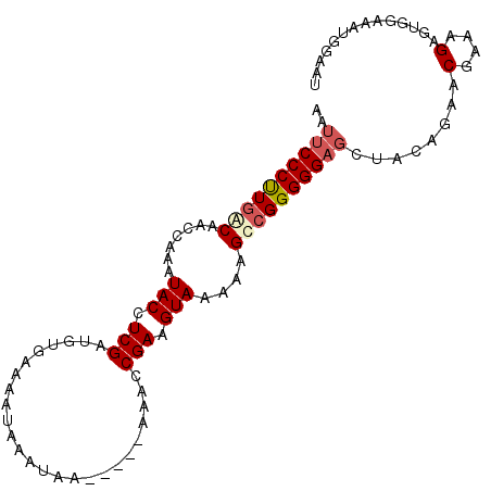 secondary structure