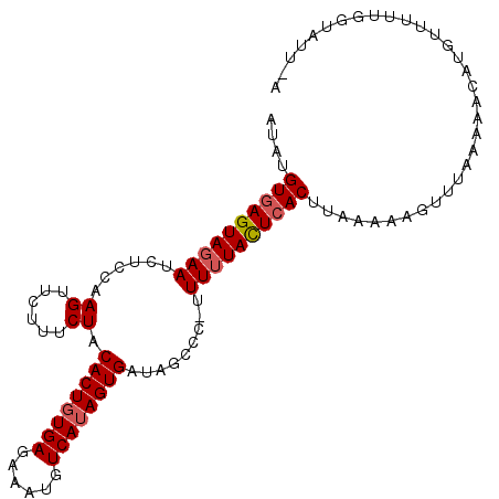 secondary structure