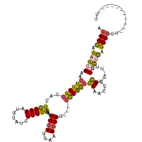 secondary structure