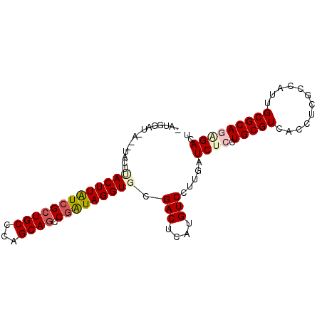 secondary structure