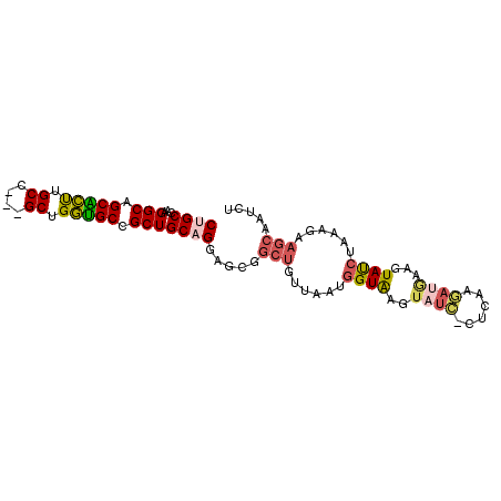 secondary structure