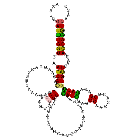 secondary structure