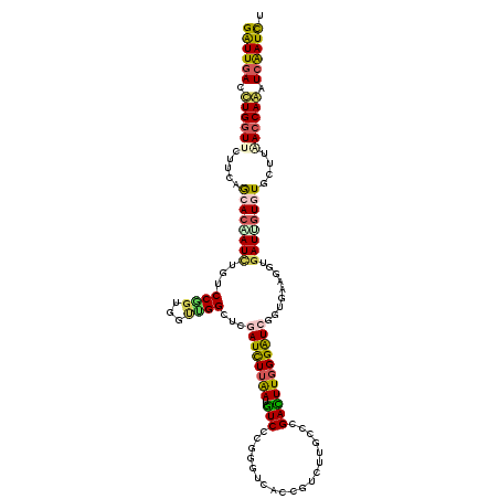secondary structure
