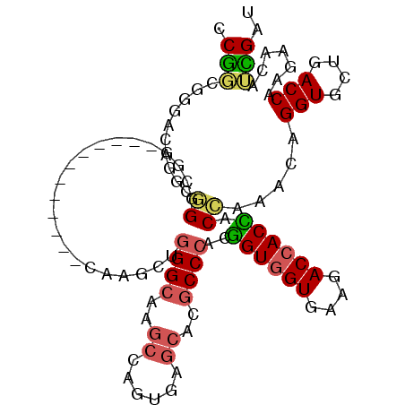 secondary structure