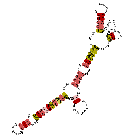 secondary structure