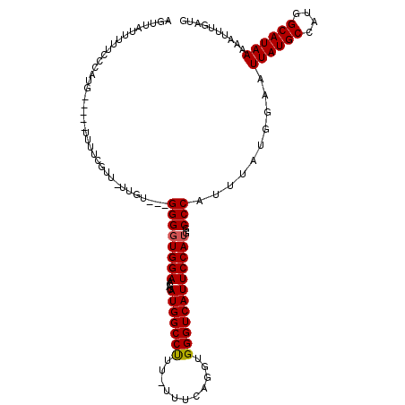 secondary structure