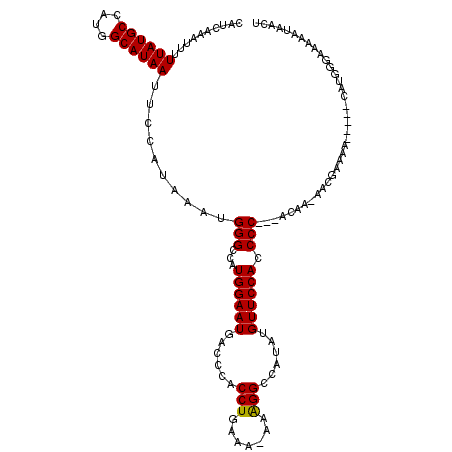 secondary structure