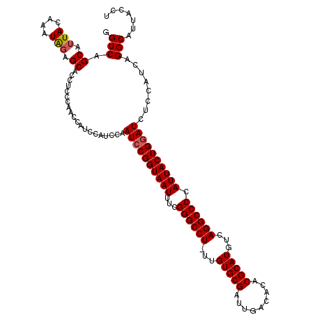 secondary structure