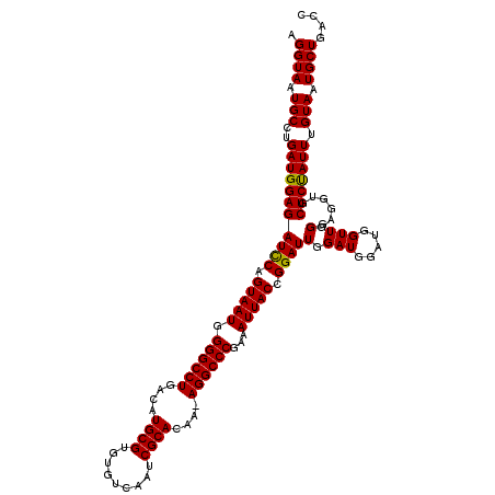 secondary structure