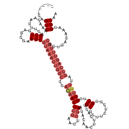 secondary structure
