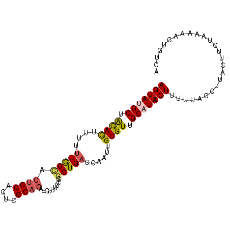 secondary structure