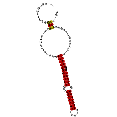 secondary structure