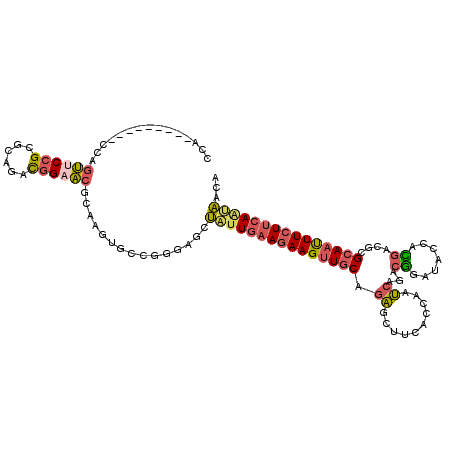 secondary structure