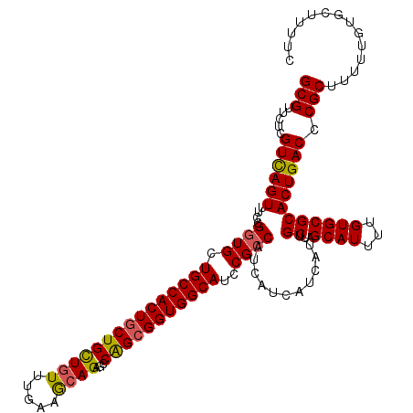 secondary structure