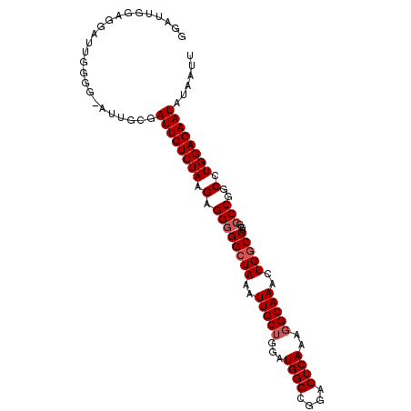 secondary structure