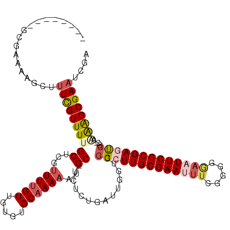 secondary structure