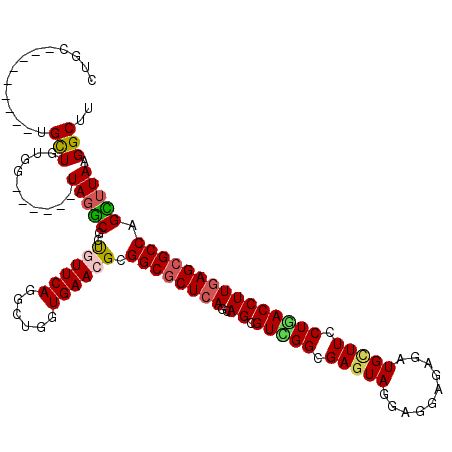 secondary structure