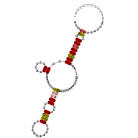secondary structure