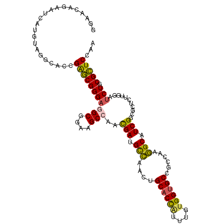 secondary structure