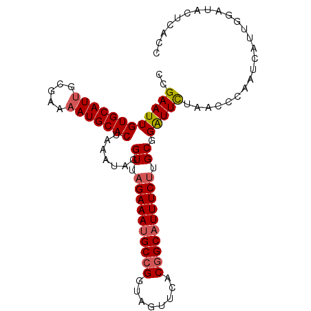 secondary structure