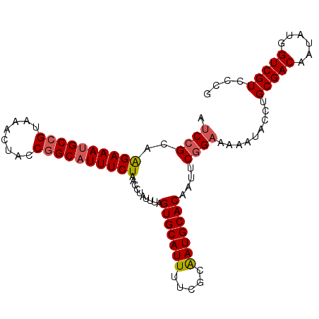 secondary structure