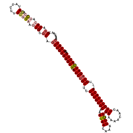 secondary structure