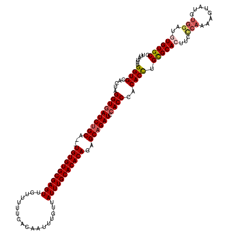 secondary structure