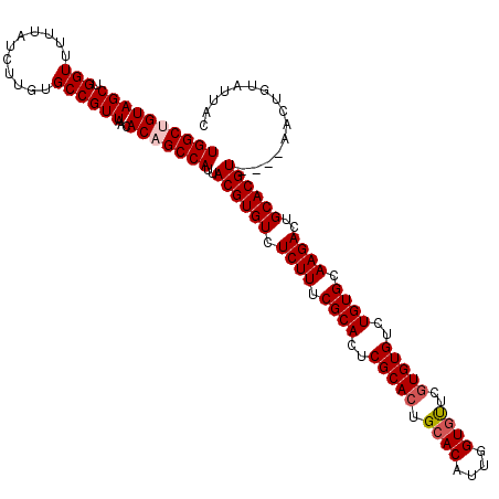 secondary structure