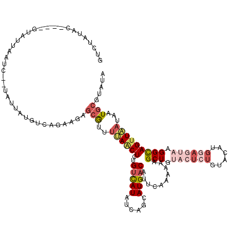 secondary structure