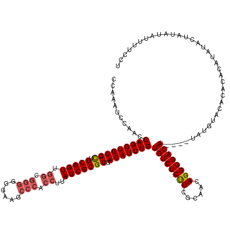 secondary structure