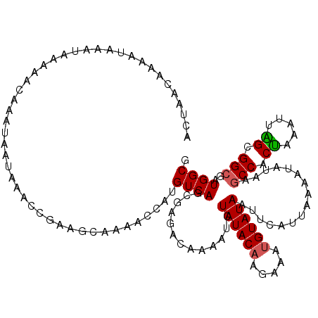 secondary structure
