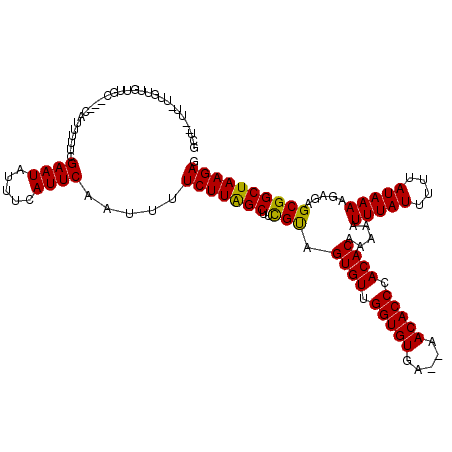 secondary structure