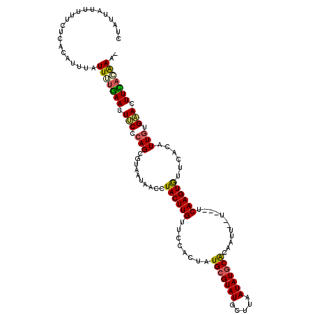 secondary structure