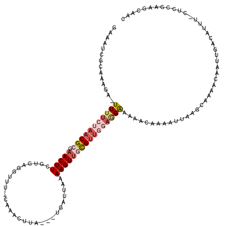 secondary structure